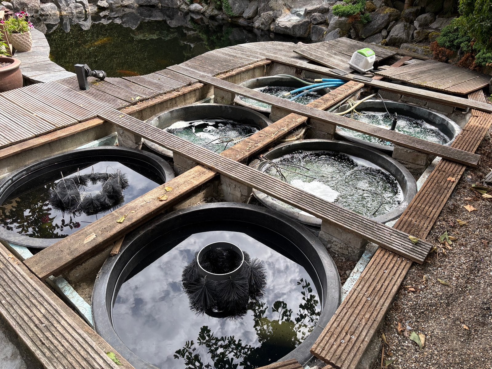 Filterinstallatie compleet, Karper of Koi