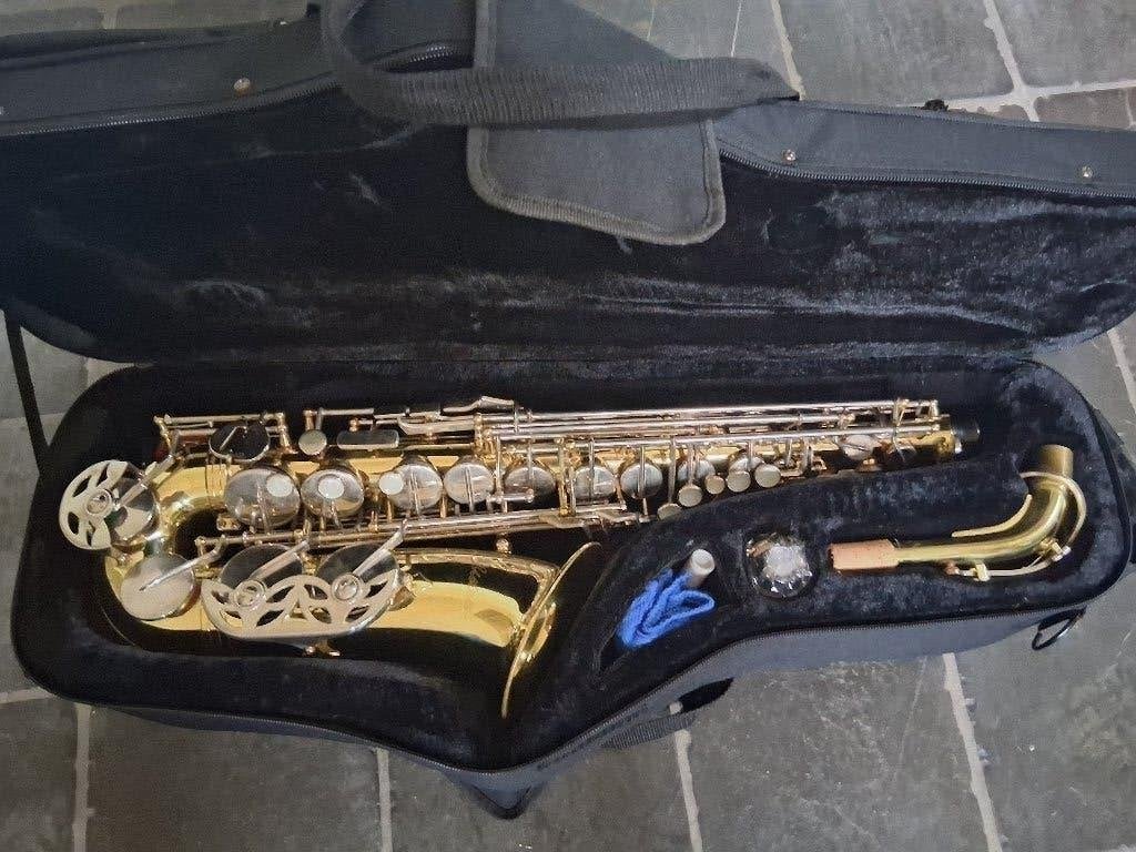 Mistral altsaxofoon gereviseerd., Ophalen of Verzenden, Gebruikt, Alt, Met koffer