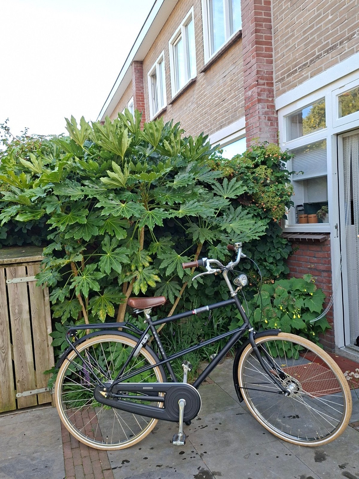Batavus Hommage Herenfiets Framemaat 54, Fietsen en Brommers, Fietsen | Dames | Damesfietsen, Ophalen, 53 tot 56 cm, Versnellingen