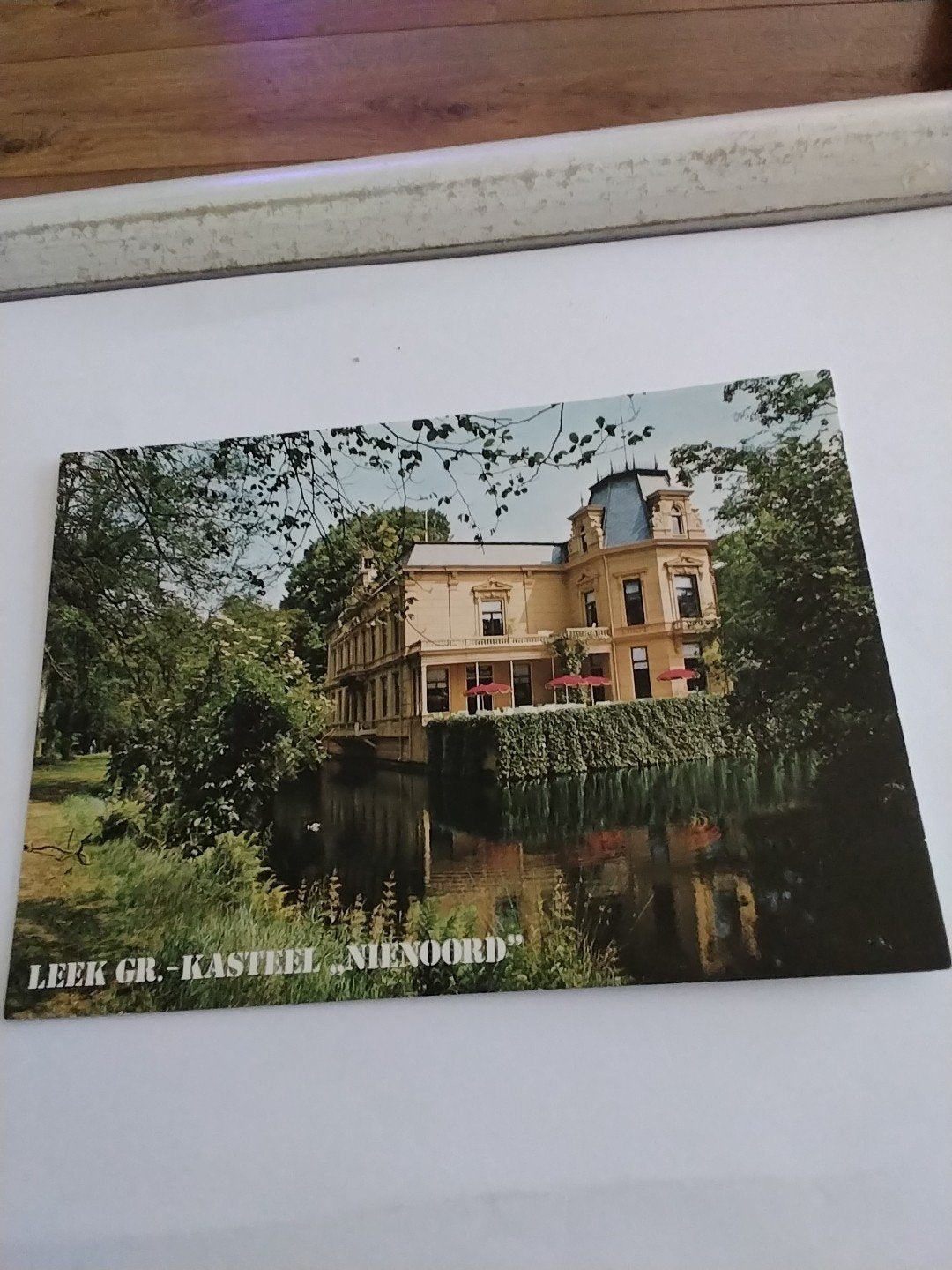 Ansichtkaart Kasteel Nienoord Leek Groningen, Ophalen of Verzenden