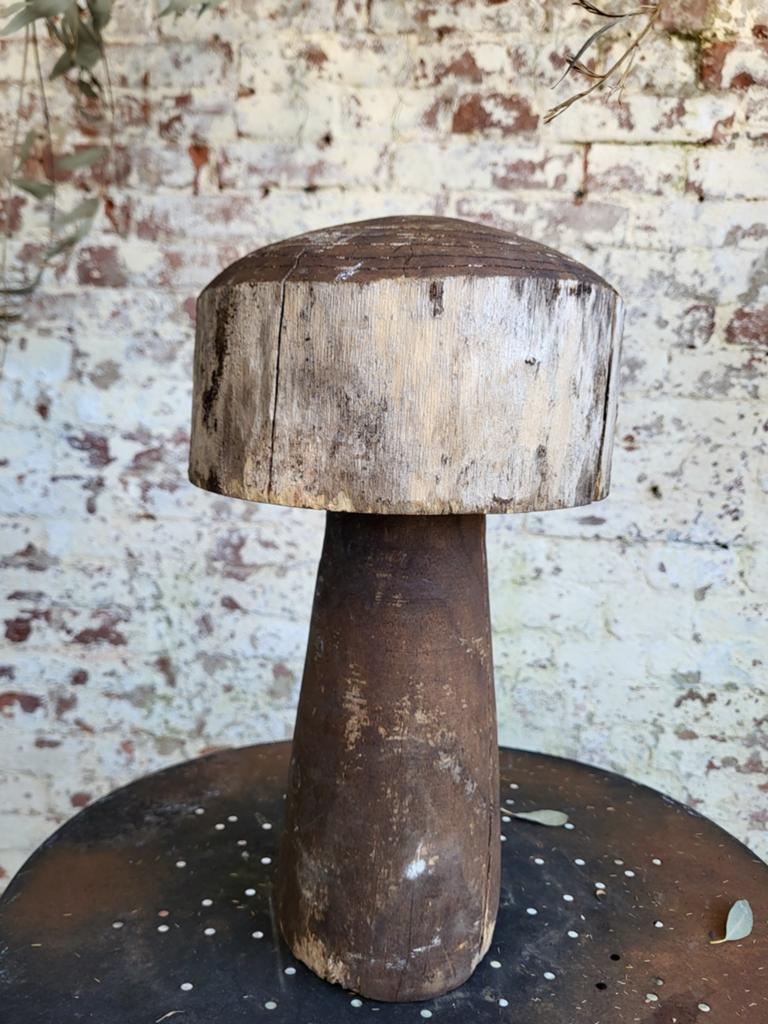Grote houten paddestoel/ ornament/ allegonda, Ophalen of Verzenden