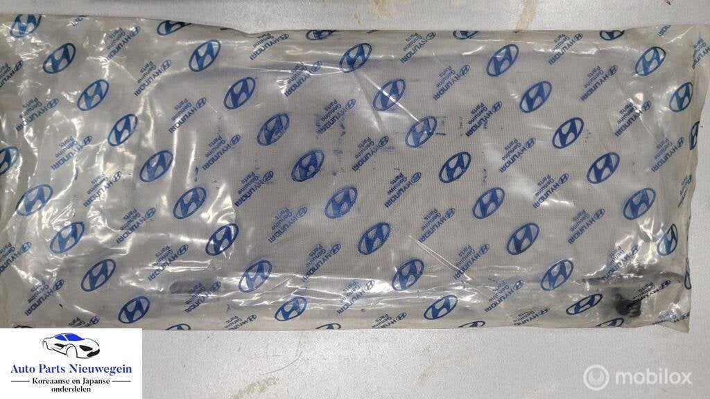 Zonneklep rechts Hyundai Lantra ('91-'95)85202-28310AR, Nieuw, Ophalen of Verzenden, Hyundai, Hyundai