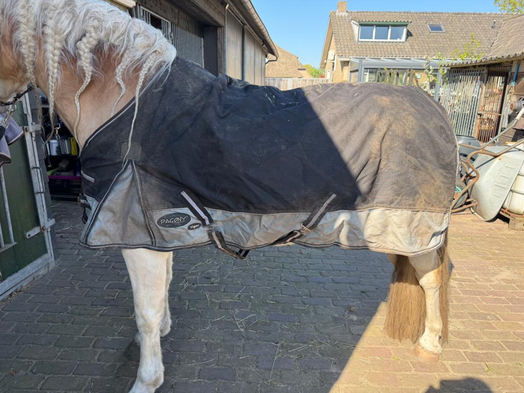 Pagony tiger regendeken 0 gram maat 175, Dieren en Toebehoren, Ophalen, Gebruikt, Overige merken, Cob (M)