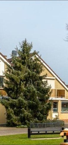 Brewers treurspar, Tuin en Terras, Ophalen