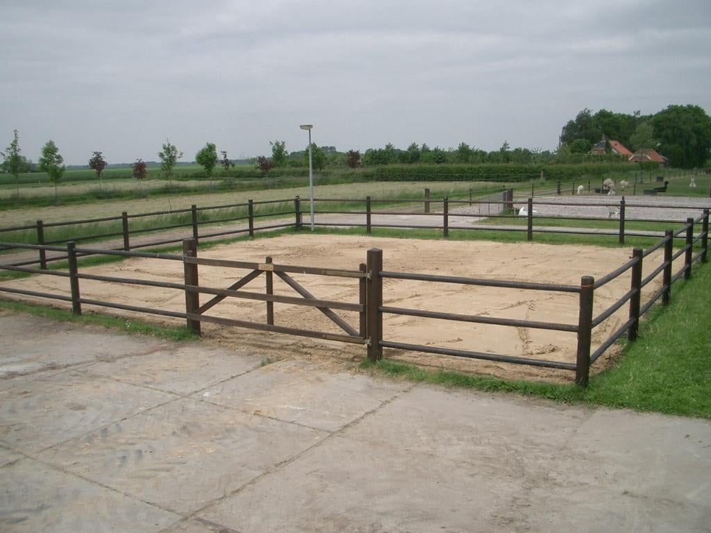 stalling paard, Weidegang, 2 of 3 paarden of pony's