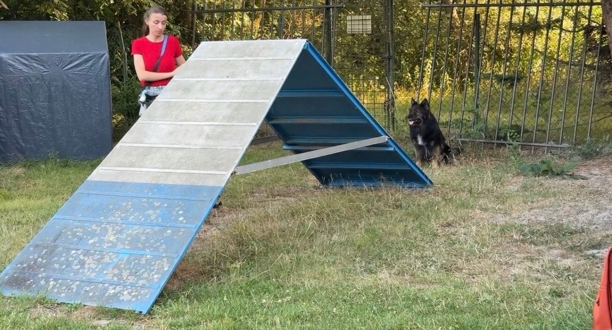 A Schutting Agility, Dieren en Toebehoren, Honden-accessoires, Ophalen, Gebruikt