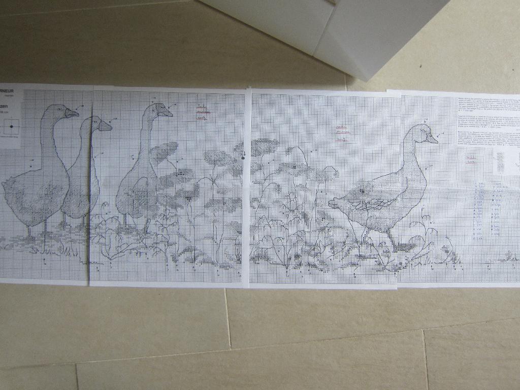 borduurpatroon GANZEN en KLAPROZEN   21 x 56, Ophalen of Verzenden, Zo goed als nieuw, Handborduren, Patroon