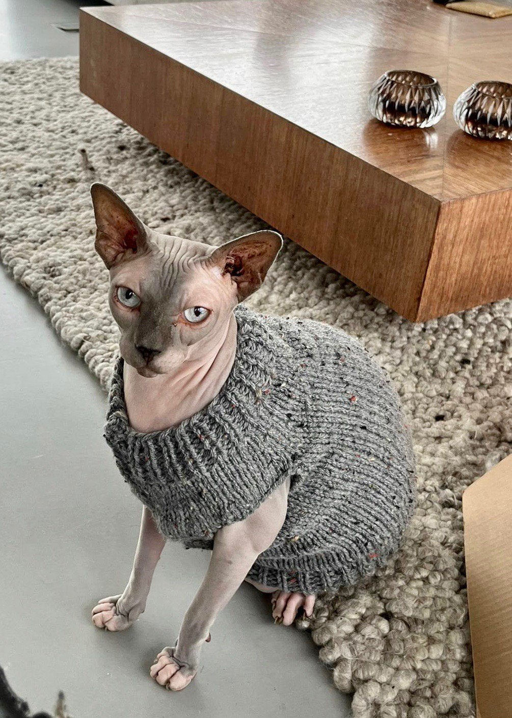 KATTENTRUI Op maat gemaakt Sphynx Kat Poes Kitten Rex Kater, Dieren en Toebehoren, Ophalen of Verzenden, Nieuw