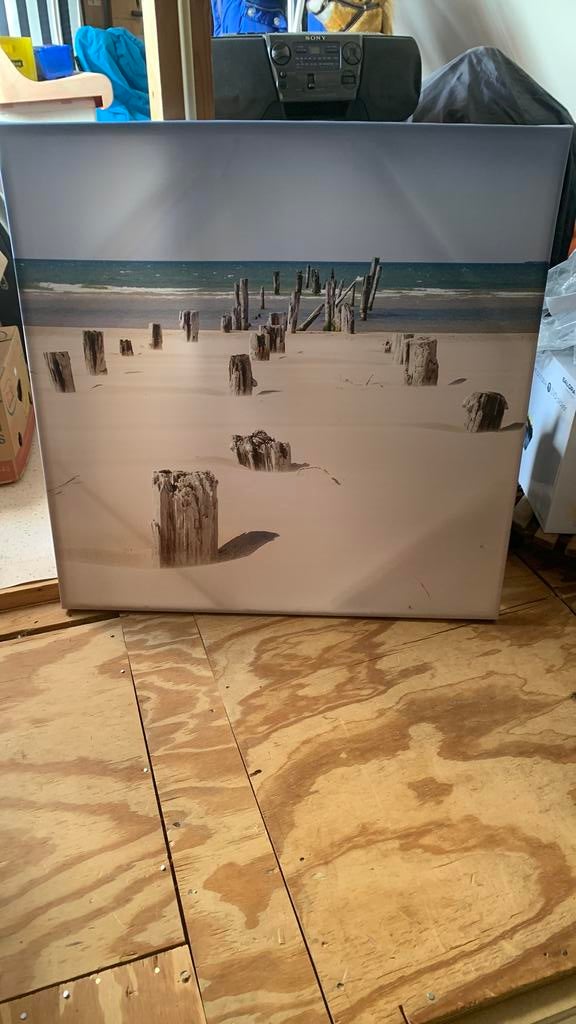 Canvas schilderij, Ophalen, Zo goed als nieuw, 75 cm of meer