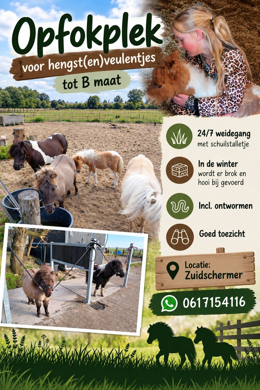 opfok plekje voor hengstenveulen, Dieren en Toebehoren
