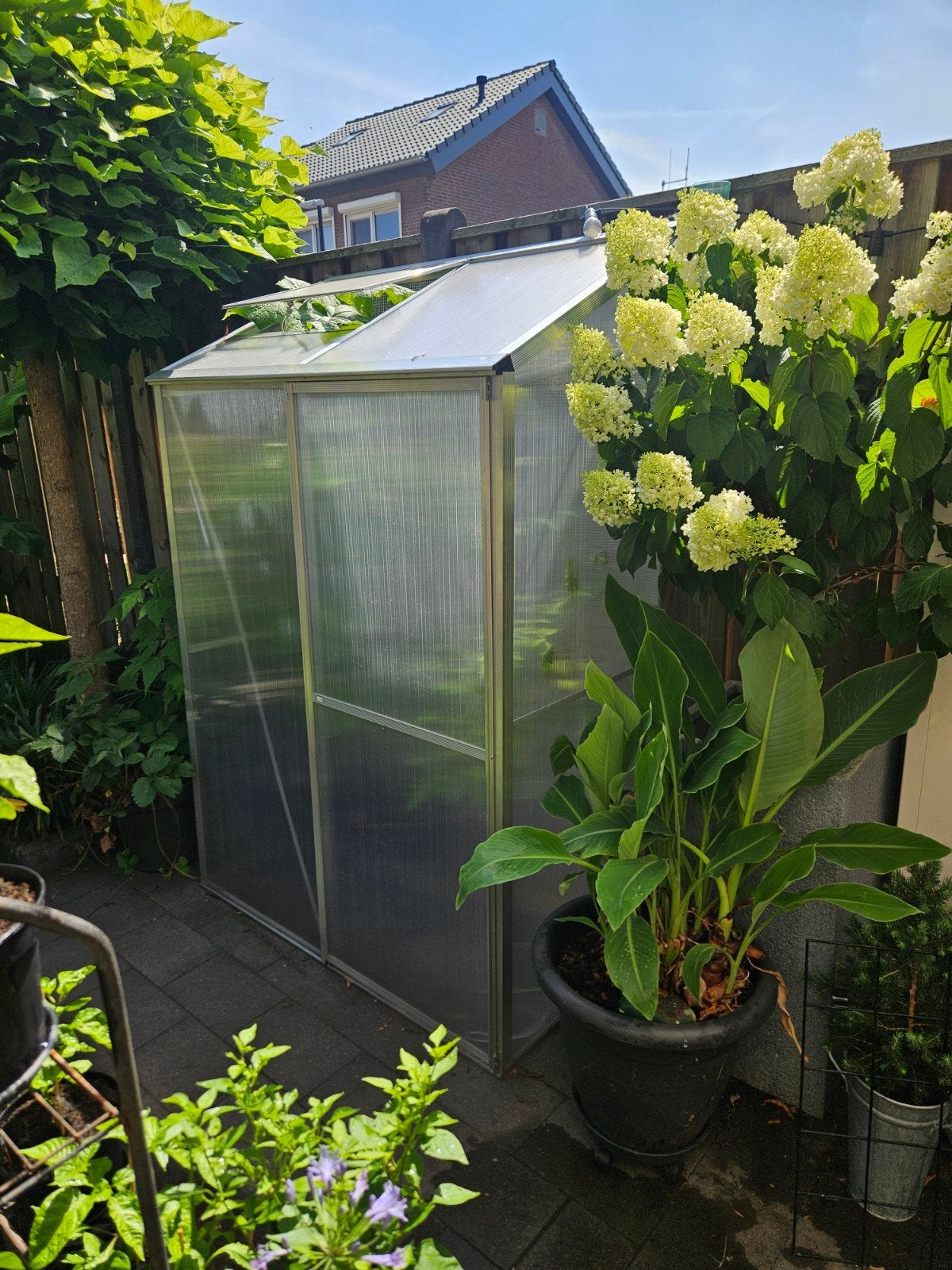 Royal Well muurkas, Ophalen, Polycarbonaat, Muurkas, Zo goed als nieuw