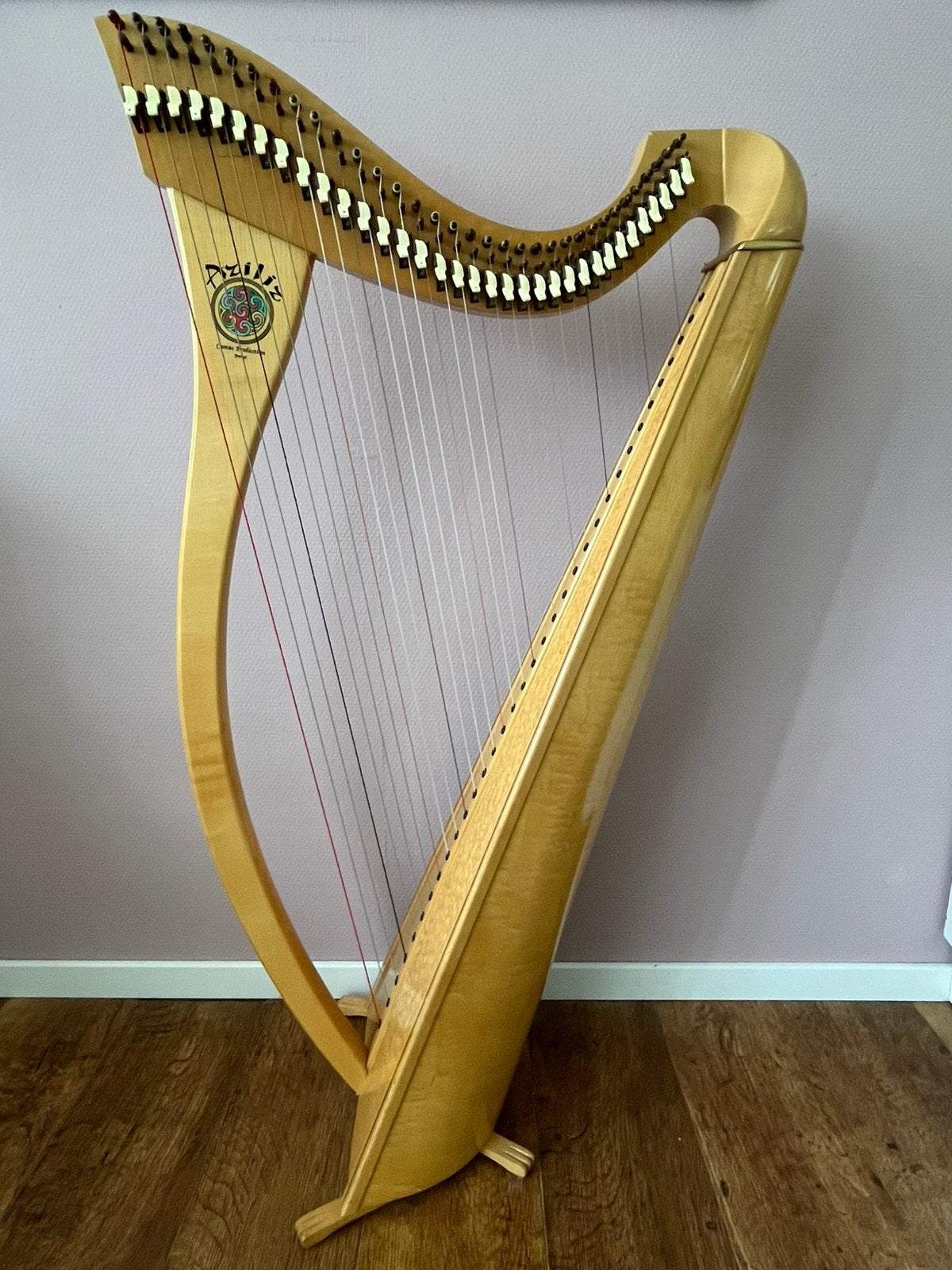 Harp Camac Aziliz, Ophalen, Gebruikt