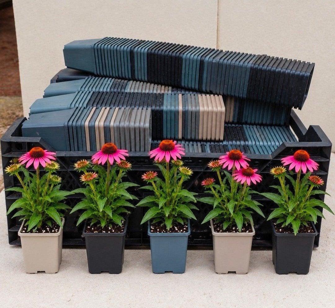 kweekpotten plantenpotten bloempotten p9 9x9x10 cm, Kunststof, Minder dan 30 cm, Vierkant, Ophalen of Verzenden