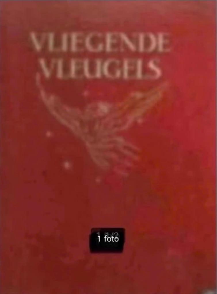 Vliegende vleugels deel 2 door C.van Steenderen uit 1950, Ophalen of Verzenden, Gelezen, Plaatjesalbum