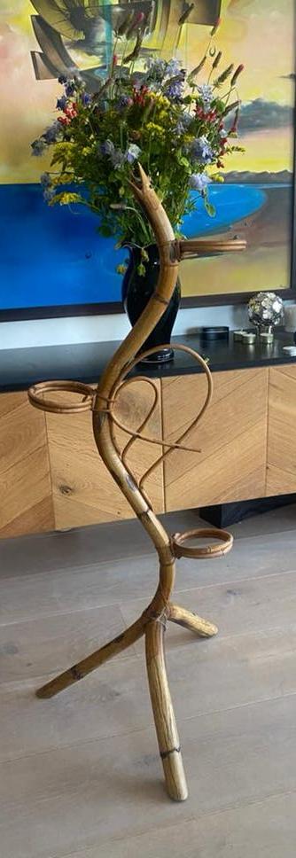 Rotan plantenslang slang  jaren 60 vintage, Ophalen of Verzenden, Huis en Inrichting