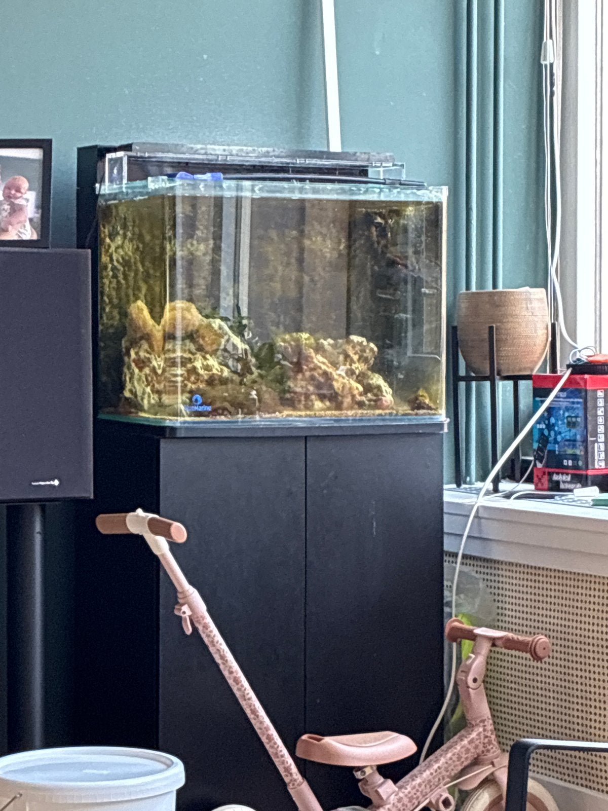 Bluemarine reef 120 met heel veel opties!, Ophalen, Gevuld zeewateraquarium, Gebruikt, Inclusief vissen