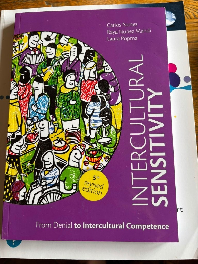 International Business studieboek, Intercultural Sensitivity, Ophalen of Verzenden, Zo goed als nieuw, Economie en Marketing