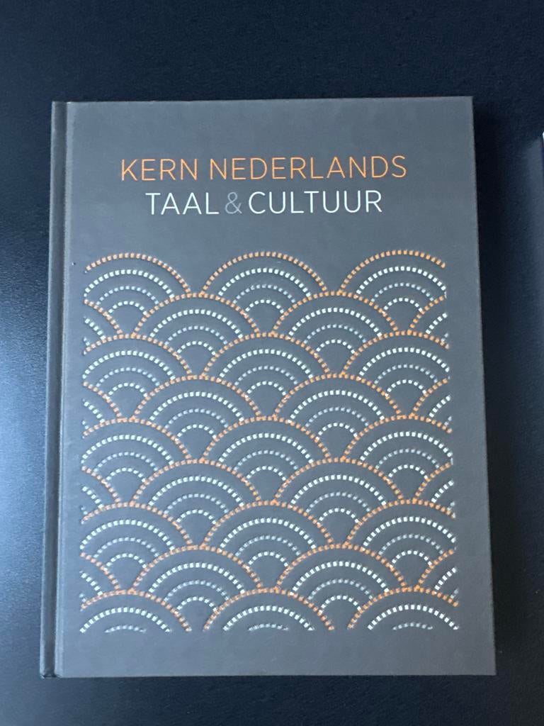 Kern Nederlands Taal & Cultuur Boek, Ophalen of Verzenden, Zo goed als nieuw, Non-fictie
