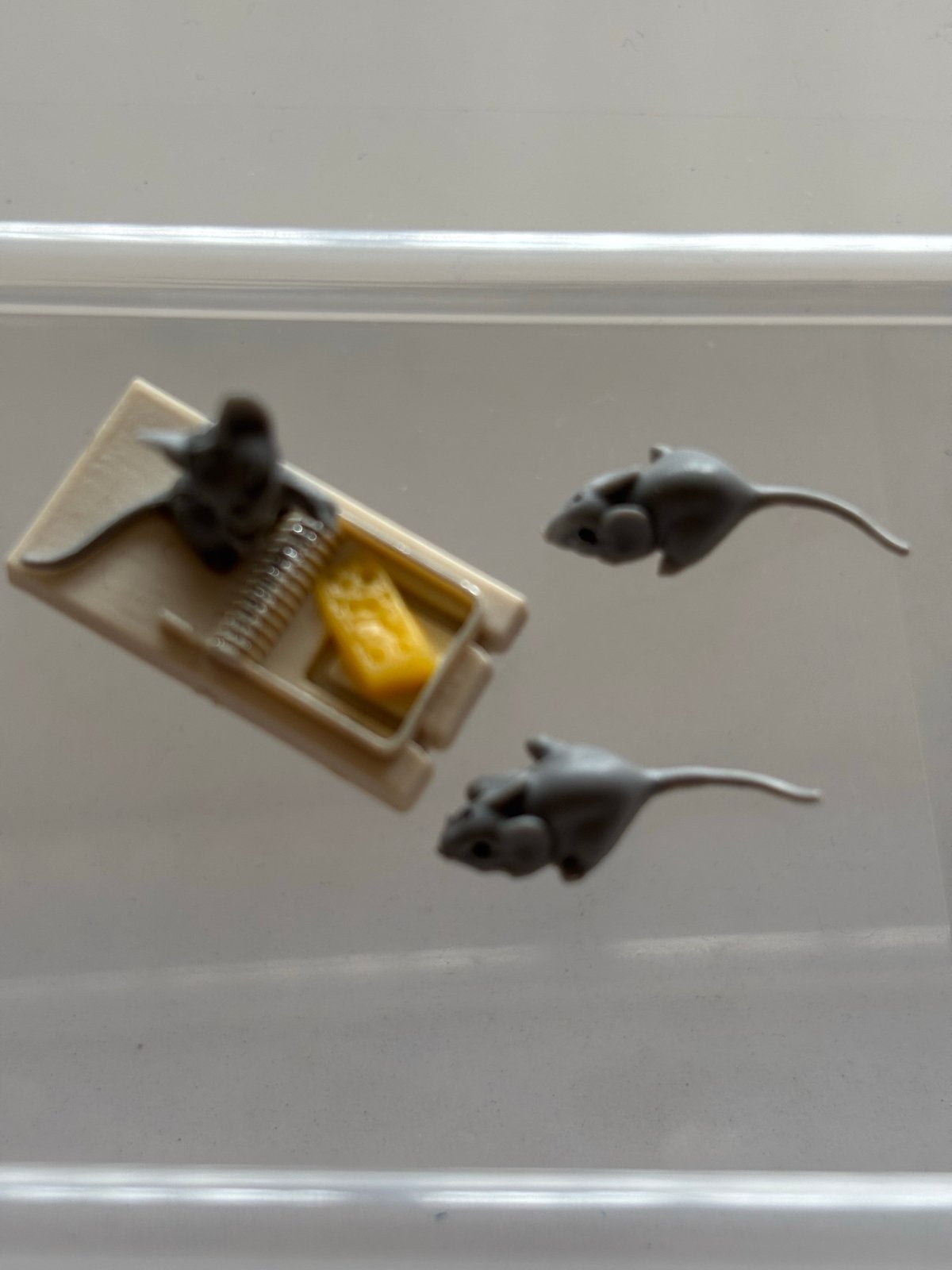 Miniatuur muizenval met muizen -, Ophalen of Verzenden, Zo goed als nieuw