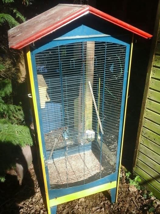 grote vogelkooi, Ophalen, Gebruikt, Metaal, Vogelkooi