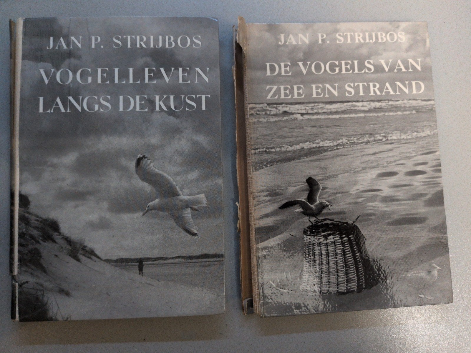 J.P. Strijbos: vogels l deangs de Kust & van Zee, Ophalen of Verzenden