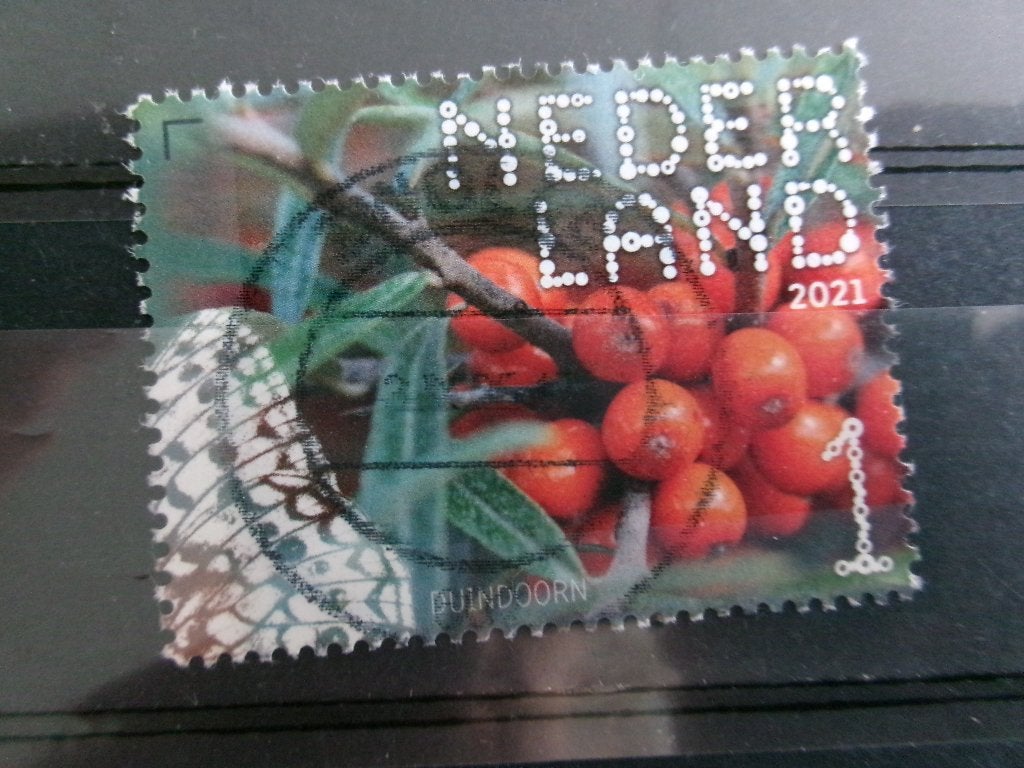2021 - beleef de natuur duindoorn (881f), Verzenden, Gestempeld