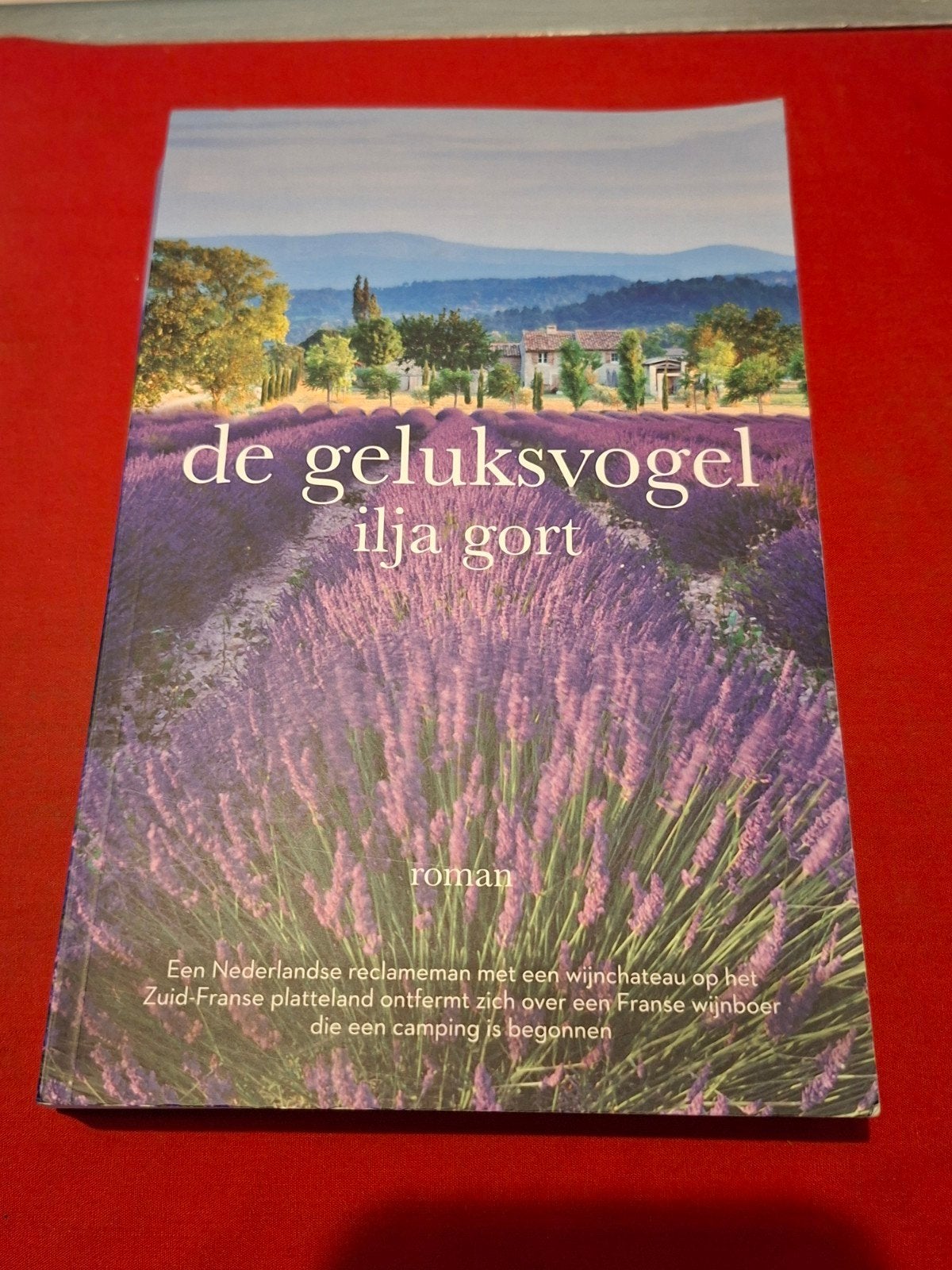 GESIGNEERD De geluksvogel. Ilja Gort. 2018 (4e druk), Ophalen of Verzenden, Gelezen