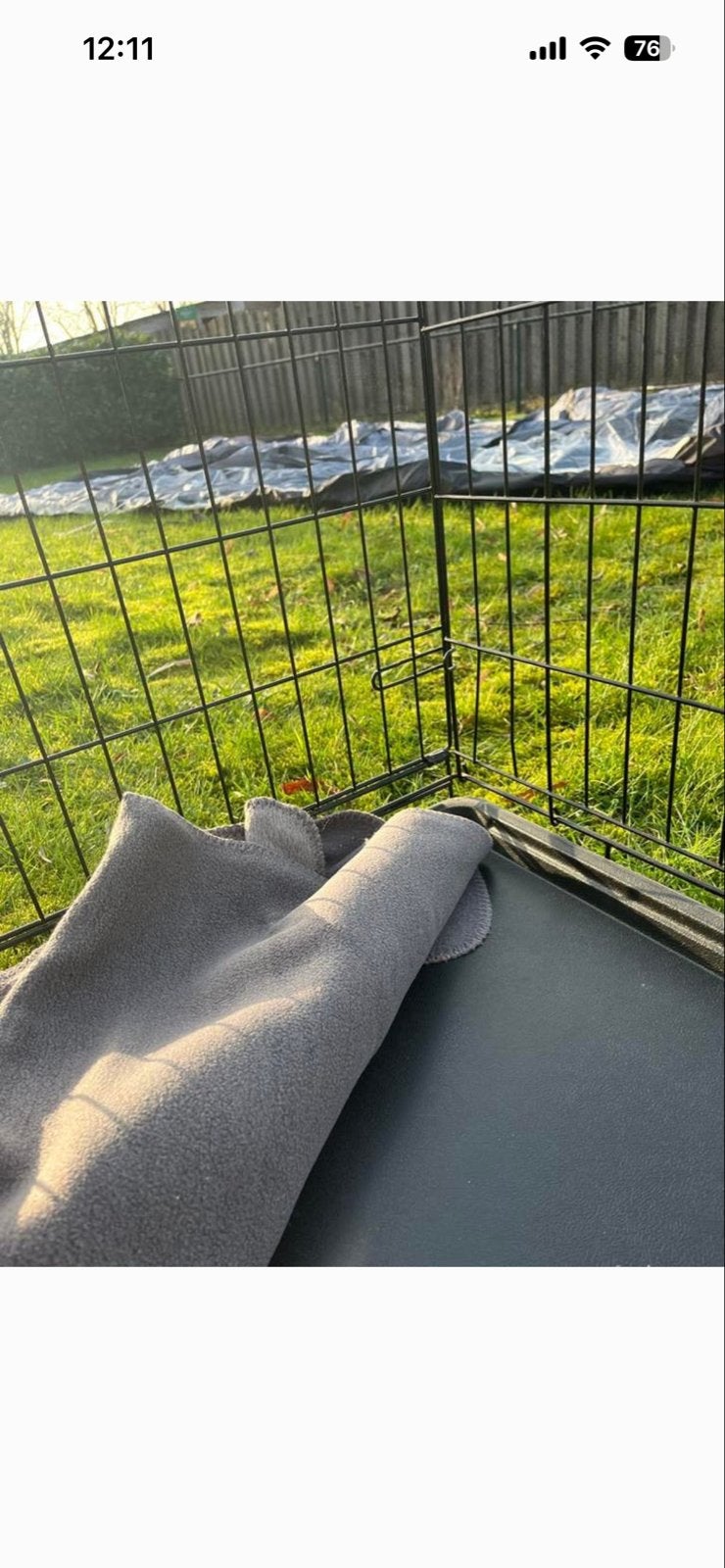 Banch, Dieren en Toebehoren, Ophalen