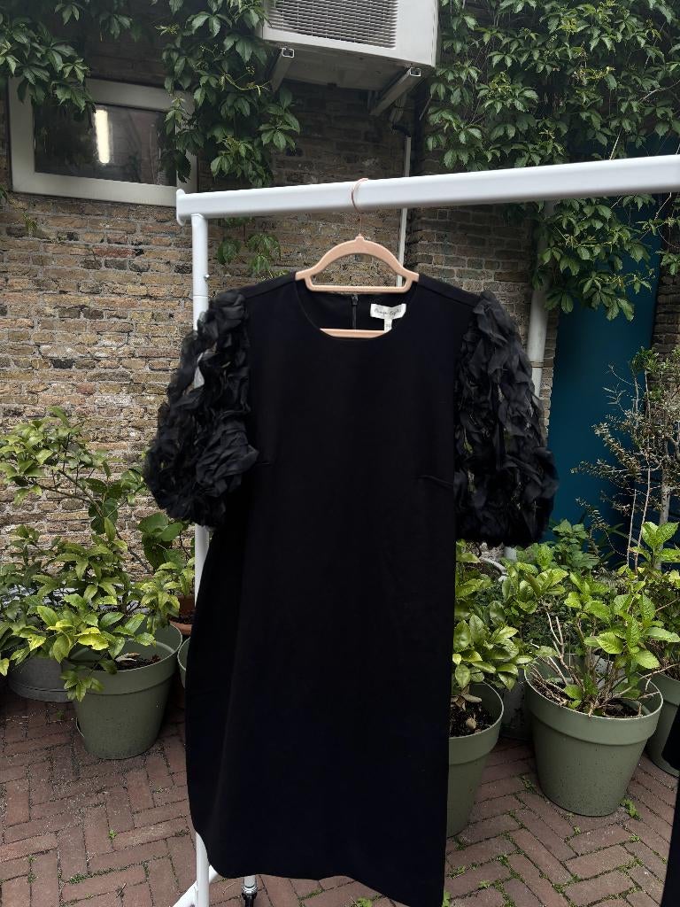 Phase Eight Zwarte Jurk Met Organza Pofmouwen Dames 42 / XL, Zwart, Maat 42/44 (L), Ophalen of Verzenden, Zo goed als nieuw