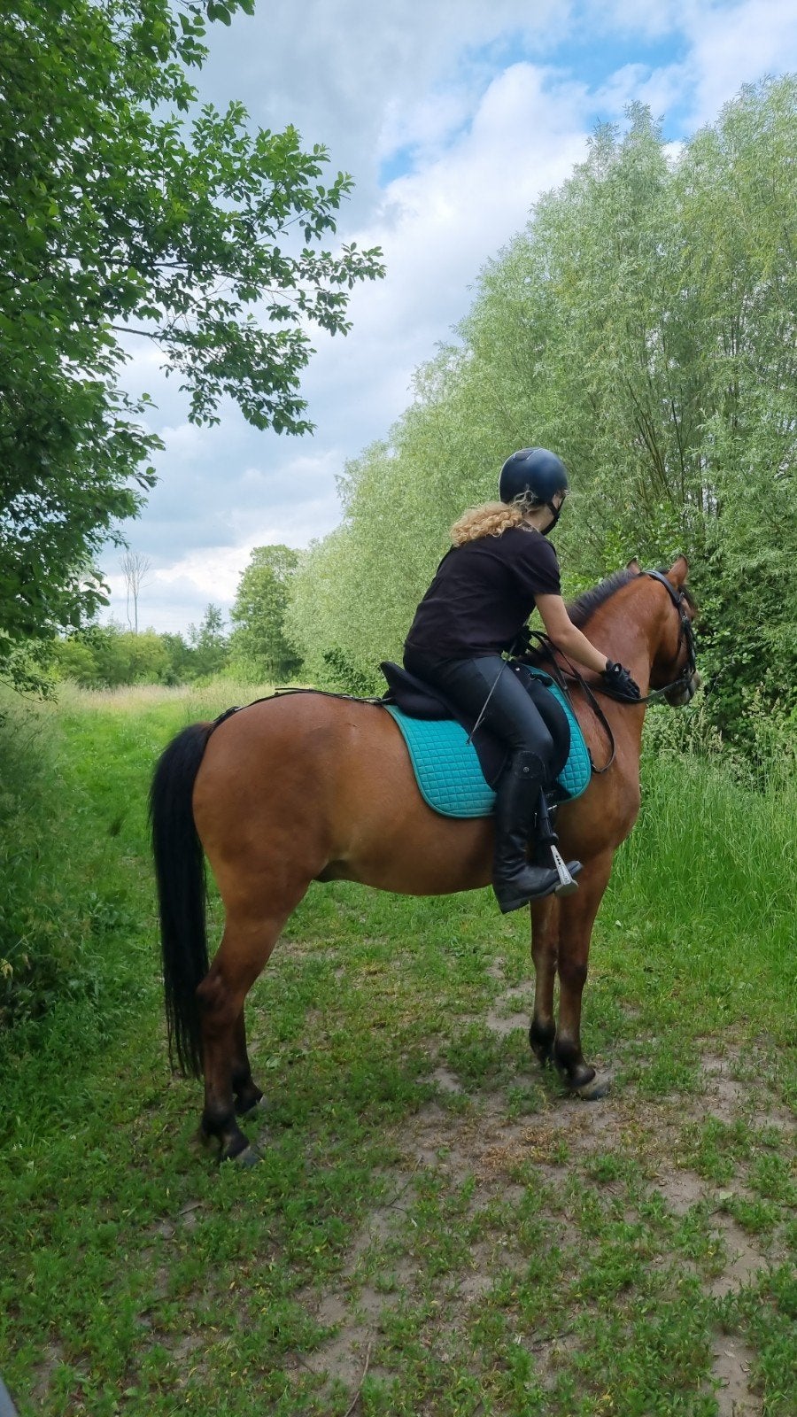 Verzorger gezocht voor in de zomervakantie (pony 1,33 m), Dieren en Toebehoren, Paarden en Pony's | Overige Paardenspullen, Ophalen