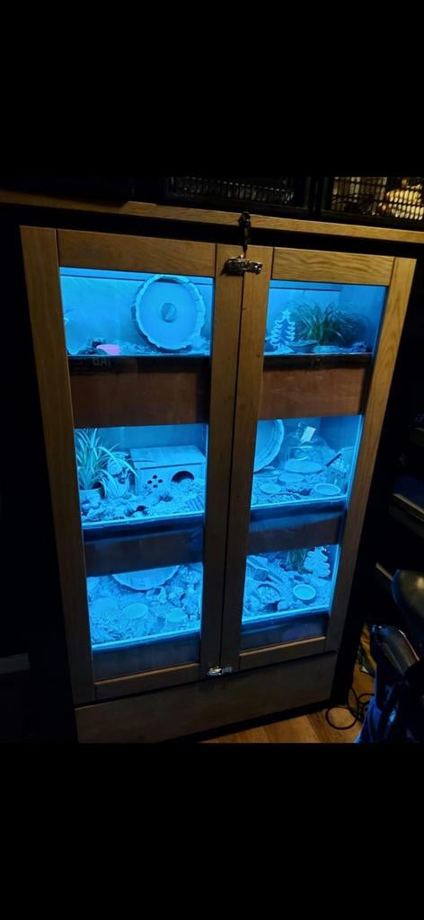 Hamster / Knaagdieren kast, Ophalen, 110 cm of meer, 90 cm of meer, Hok