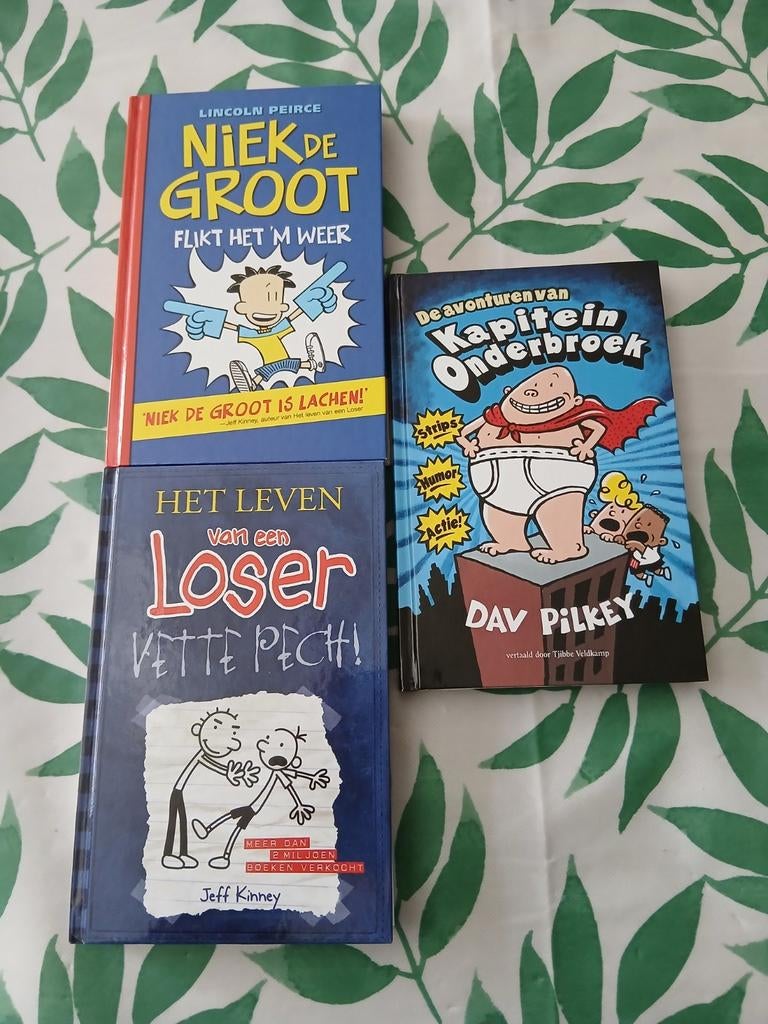 Kapitein onderbroek. Niek de Groot. Leven van een Lozer, Boeken, Ophalen, Gelezen