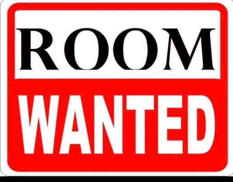 KAMER GEVRAAGD EINDHOVEN en omgeving, Huizen en Kamers, Op zoek naar een kamer