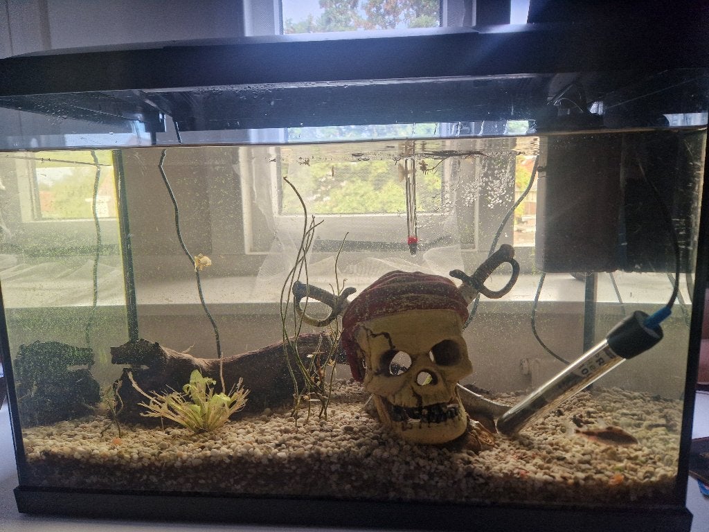 Aquarium, Ophalen, Gebruikt
