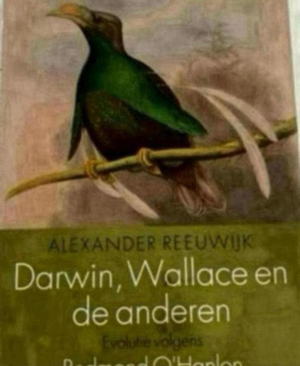 Darwin, Wallace en de anderen: Evolutie volgens O'Hanlon, Ophalen of Verzenden, Zo goed als nieuw