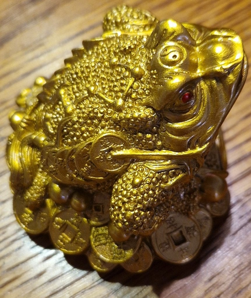 Lucky Money Frog, Ophalen of Verzenden, Nieuw, Dier