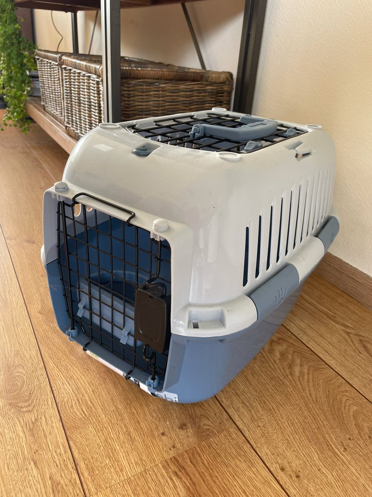 Kattenreismand, Ophalen, Zo goed als nieuw