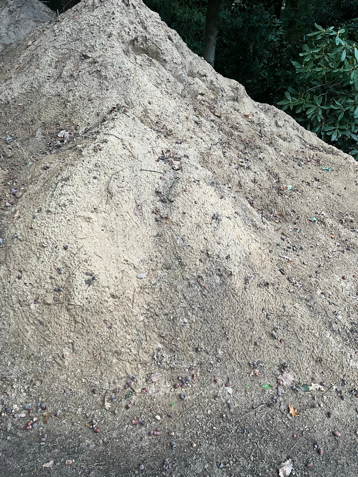 Gratis Geel Zand / Opvulzand voor Zandbak