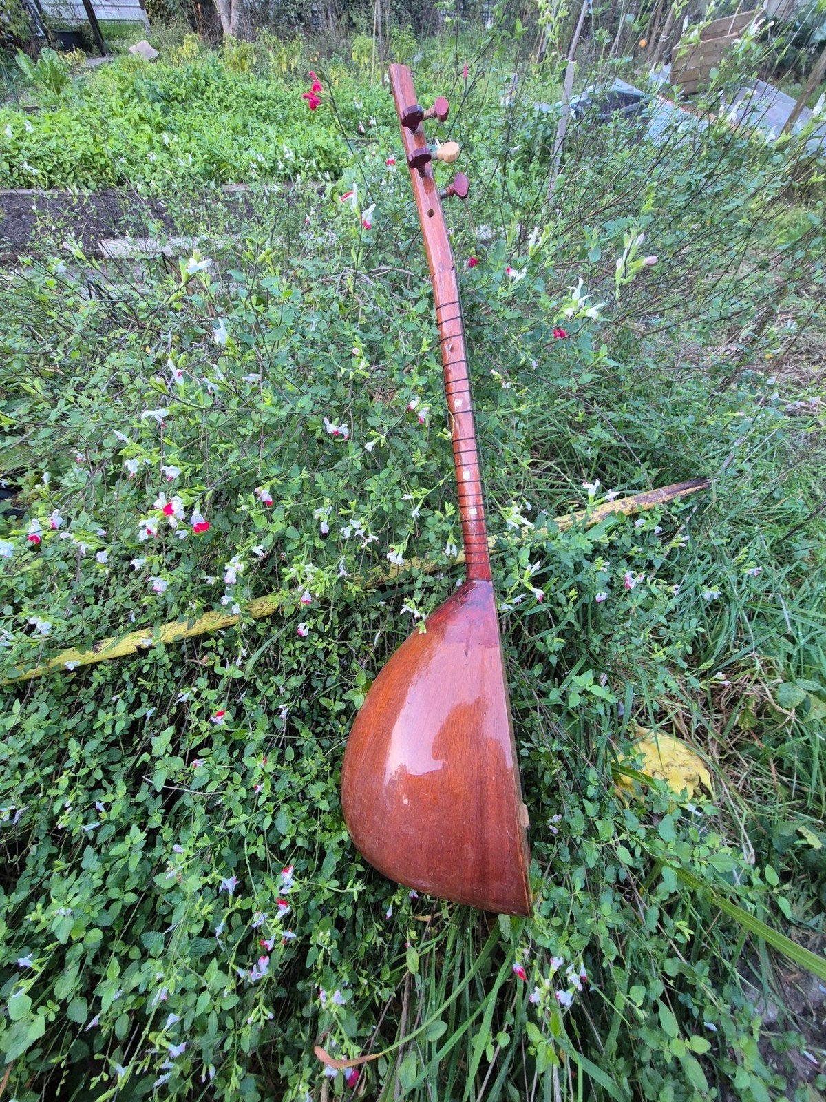 Traditionele Turkse Saz - Handgemaakt snaarinstrument, Ophalen, Gebruikt, Luit, Saz of Bouzouki