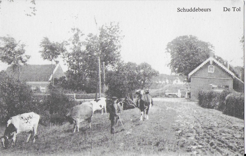 Q133 oude ansichtkaart schuddebeurs de tol ( herdruk ), Ophalen of Verzenden, 1960 tot 1980, Ongelopen