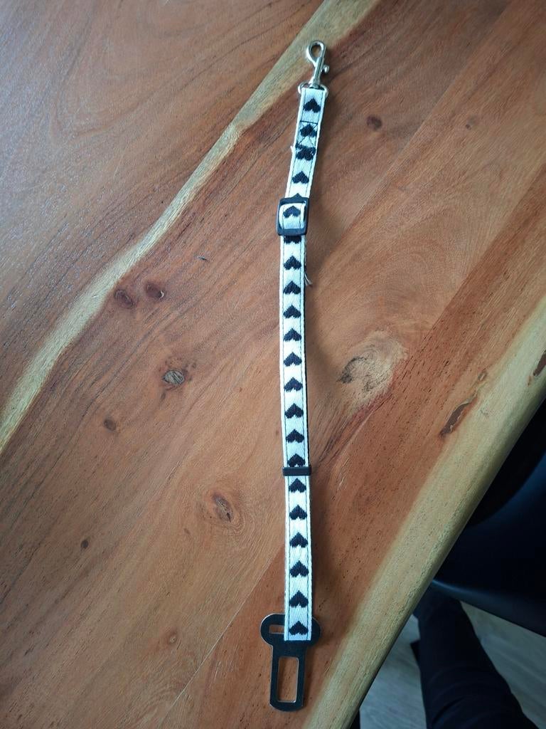 Autogordel hond, Dieren en Toebehoren, Ophalen of Verzenden, Nieuw, Hondenriem-accessoire