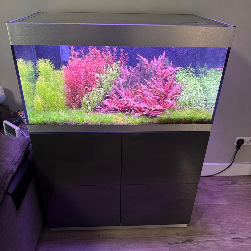 Oase highline 200 optiwhite, Daytime Matrix, co2art set., Ophalen, Verlichting of Verwarming