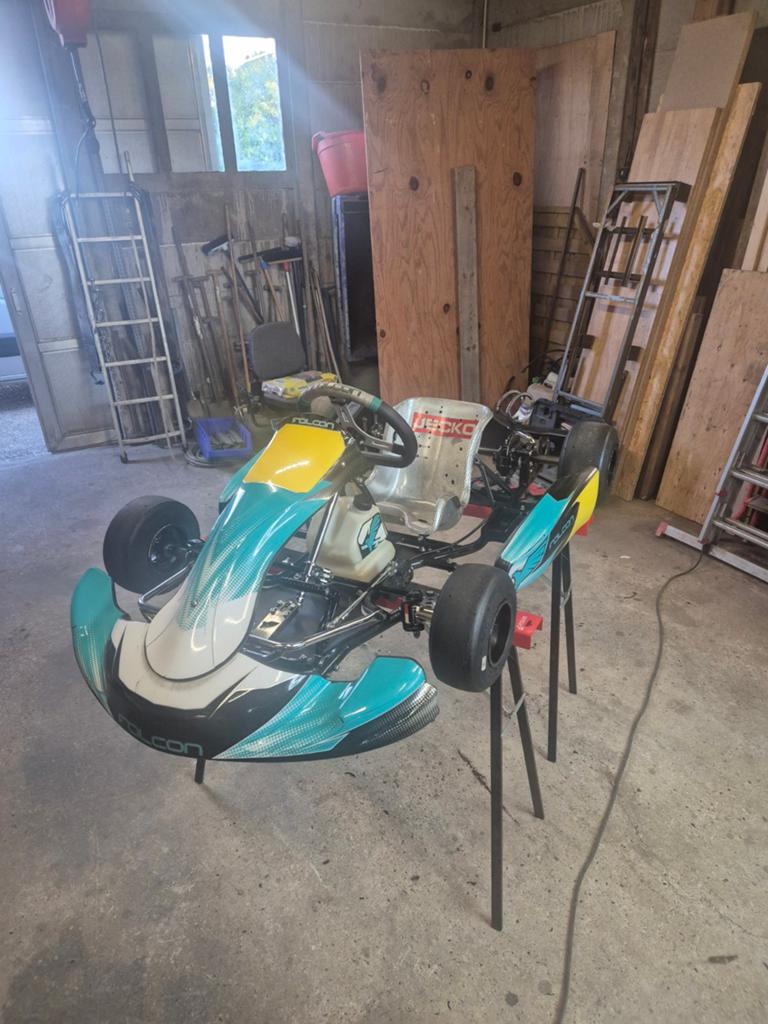 Kart mini falcon, Ophalen, Zo goed als nieuw, Kart