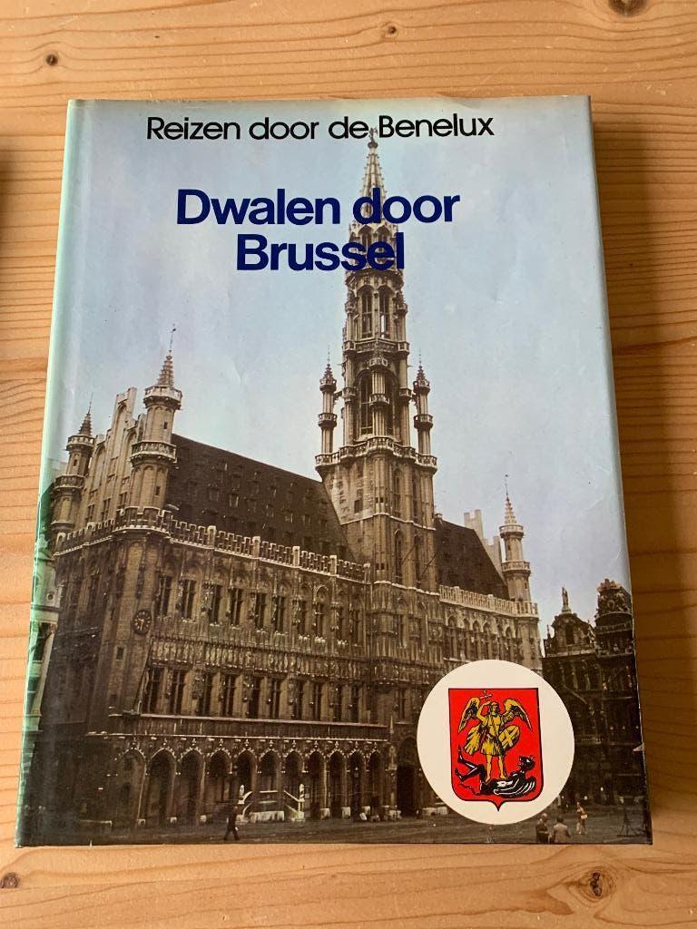 Dwalen door Brussel, Boeken, Reisgidsen, Overige merken, Fiets- of Wandelgids, Ophalen of Verzenden, Lekturama