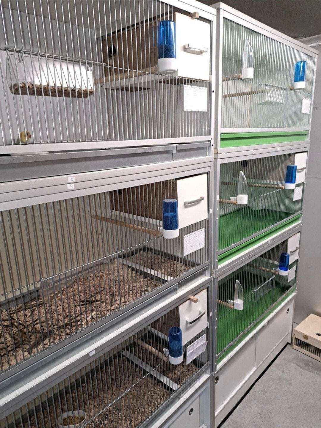van keulen kweek kooien te koop, Dieren en Toebehoren, Ophalen, Zo goed als nieuw, Broedkooi of Kweekkooi