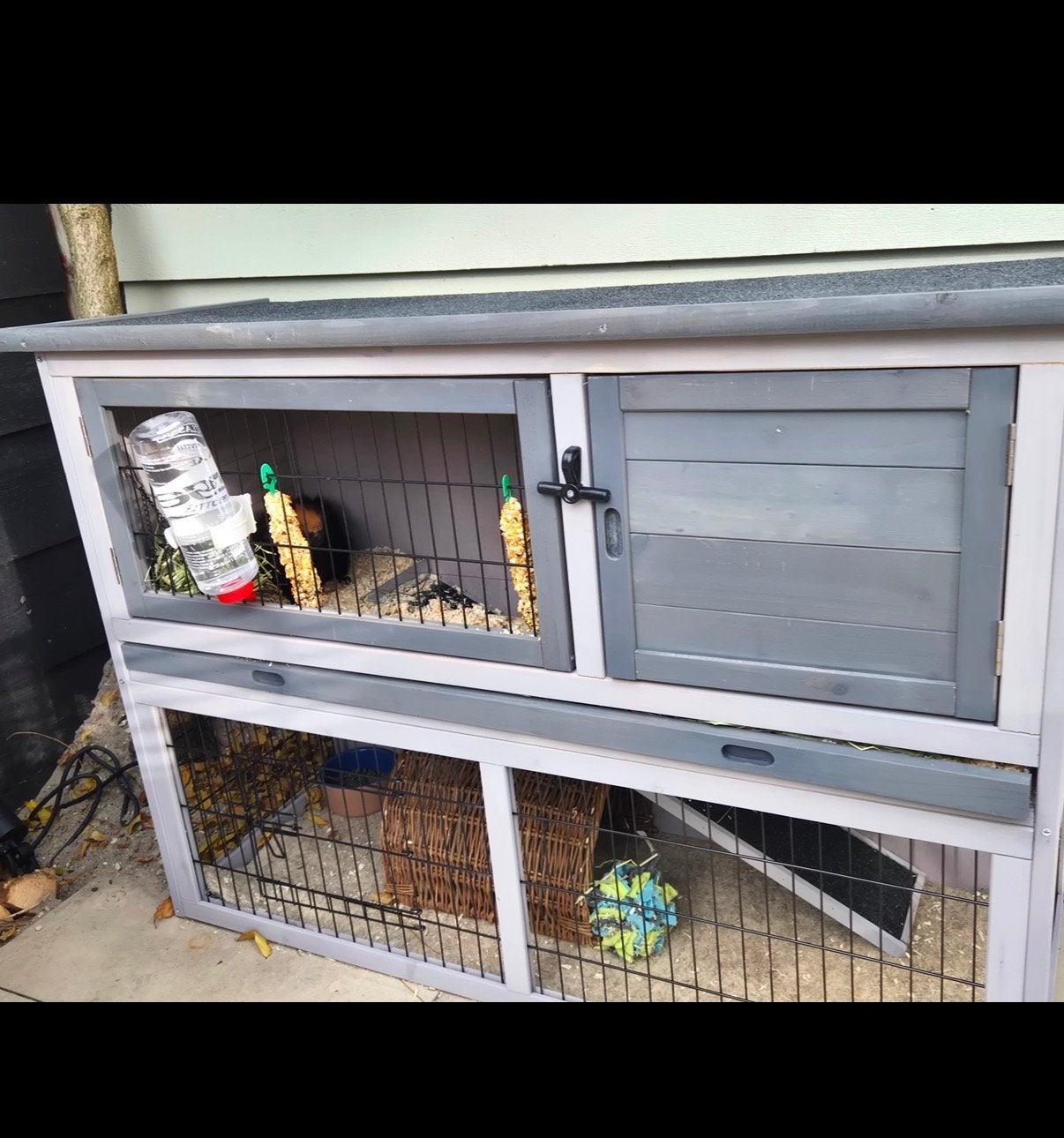 Cavia/konijnen kooi, Dieren en Toebehoren, Kooi, Gebruikt, 75 tot 110 cm, Cavia