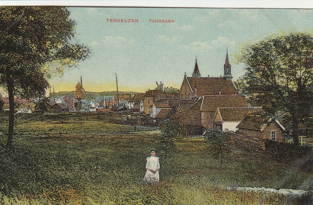 Terneuzen panorama, Ophalen of Verzenden, Voor 1920, Gelopen, Zeeland