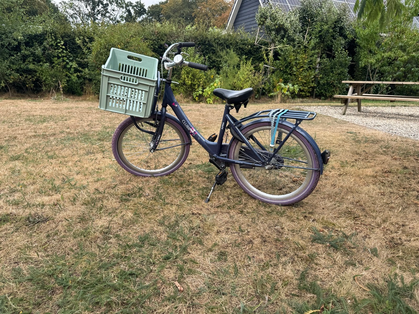 Alpina Clubb meisjesfiets 22 inch, Ophalen, Gebruikt, 22 inch