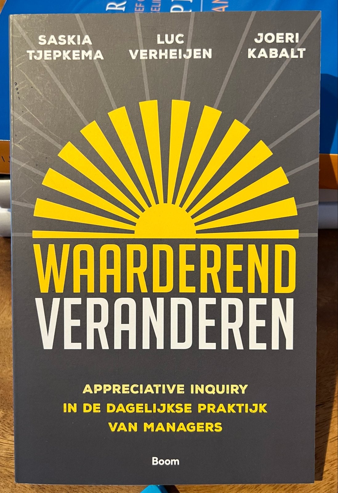 Waarderend Veranderen - Appreciative Inquiry, Ophalen of Verzenden, Gamma, Zo goed als nieuw, HBO