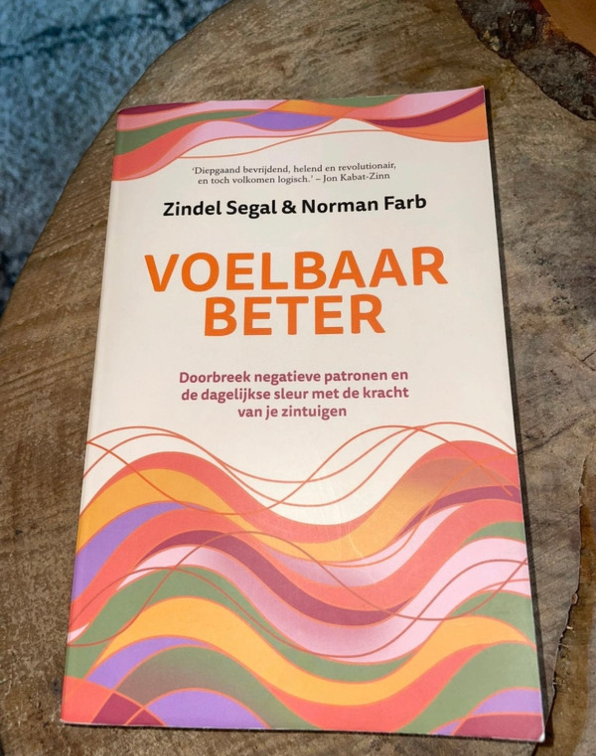 Voelbaar Beter – Zindel Segal & Norman Farb, Ophalen of Verzenden, Zo goed als nieuw